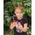 عروسک LOL Surprise سری Tweens مدل Hoops Cutie, تنوع: 576693-Hoops Cutie, image 14