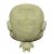 کله شنی Splats Head مدل Pompo, تنوع: 636084-Pompo, image 5