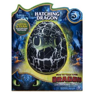 هچیمال اژدها بی دندون Hatching Toothless, image