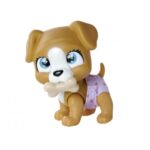 هاپو کوچولوی Pamper Pets, تنوع: 105953050-brown dog, image 5