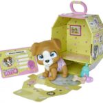 هاپو کوچولوی Pamper Pets, تنوع: 105953050-brown dog, image