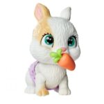 خرگوش کوچولوی Pamper Pets, تنوع: 105953052-rabbit, image 7