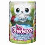 میتونی به این جغد کوچولو پرواز یاد بدی؟ Owleez, image
