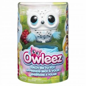 میتونی به این جغد کوچولو پرواز یاد بدی؟ Owleez, image