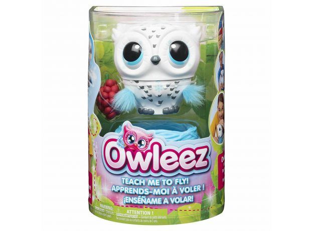 میتونی به این جغد کوچولو پرواز یاد بدی؟ Owleez, image
