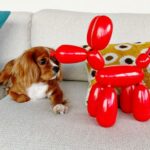 اسکوییکی سگ بادکنکی رباتیک, image 19