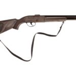 شاتگان Gonher, image 6