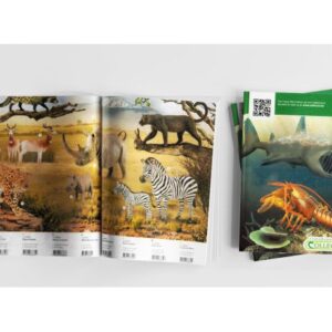 کاتالوگ 2021 بزرگ Collecta, image