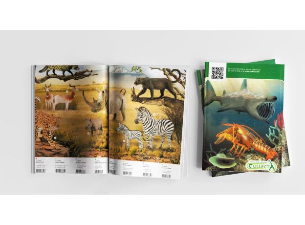 کاتالوگ 2021 بزرگ Collecta, image