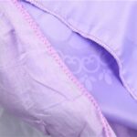 لباس پرنسس سوفیا - سایز 11, image 6