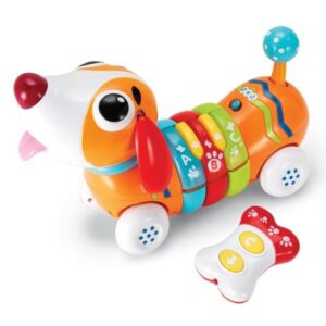 بازی آموزشی سگ رنگین کمان winfun