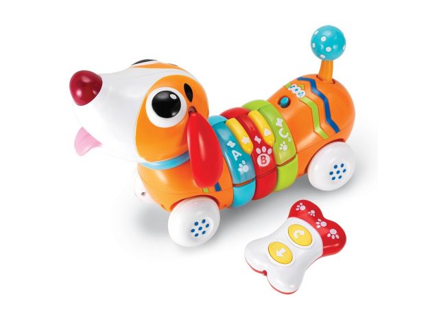 بازی آموزشی سگ رنگین کمان winfun, image