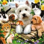 پازل 300 تکه راونزبرگر مدل حیوانات شاد, image 2