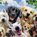 پازل 300 تکه راونزبرگر مدل سلفی سگ ها, image 3