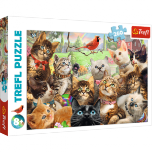 پازل 260 تکه ترفل مدل گربه ها, image