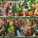 پازل 500 تکه راونزبرگر مدل گربه ها بر روی شلف, image 2