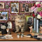 پازل 1000 تکه راونزبرگر مدل گربه بامزه من, image 2