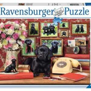 پازل 500 تکه راونزبرگر مدل سگ های وفادار من