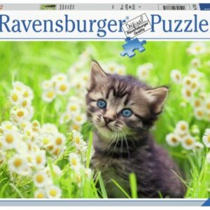پازل 500 تکه راونزبرگر مدل گربه در چمنزار