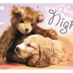 پازل 60 تکه ترفل مدل Good night, image 2