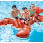 خرچنگ بادی کودک اینتکس Intex, image 2