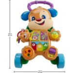 واکر آموزشی هاپو کوچولوی Fisher Price مدل آبی, image 3