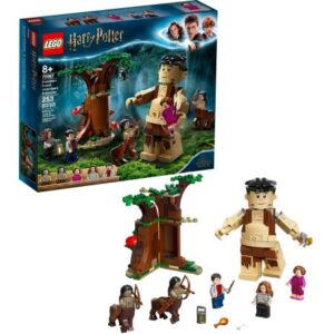 لگو هری پاتر مدل جنگل ممنوعه (75967), image