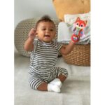 جغجغه روباه Vtech, image 3