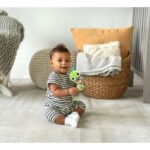 جغجغه موزیکال کرم ابریشم Vtech, image 5