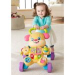 واکر آموزشی هاپو کوچولوی Fisher Price مدل صورتی, image 2