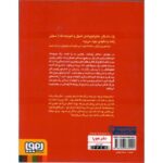 کتاب تعطیلات پلیسی یا چه کسی عروسک خیمه شب بازی را دزدیده است؟, image 2