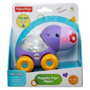 بازی آموزشی اسب آبی (Fisher Price)