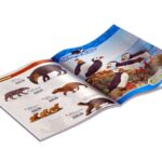 کاتالوگ 2020 بزرگ Collecta, image 2