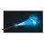 چوب دستی 33 سانتی هری پاتر با طلسم پاترونوس Harry Potter, تنوع: 6064042-Harry Potter, image 4