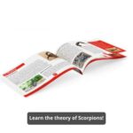 بلاک ساختنی Engino استیم هیرو مدل عقرب, image 9