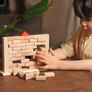 دیوار چوبی سپتا