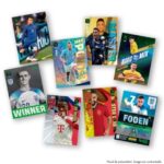 باکس کامل شامل 10 پک 26 تایی FAT PACK کارت فوتبالی Top Class 2024 ایتالیایی Panini, image 3