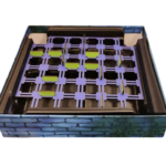 بازی فکری هزارتوی جادو, image 5