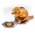 پک تکی بازی نبرد باکوگان (Bakugan) مدل Aurelus Trox, image 3