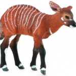 گوساله گورگوزن, image