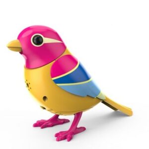 پرنده‌ی آوازه‌خوان DIGIBIRDS در قاب
