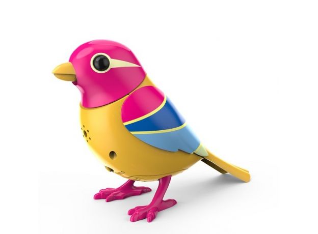 پرنده‌ی آوازه‌خوان DIGIBIRDS در قاب, image