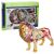 پک ساخت آناتومی بدن شیر, تنوع: 622036-Lion, image