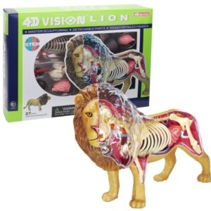 پک ساخت آناتومی بدن شیر, تنوع: 622036-Lion, image