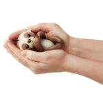 ربات میمون تنبل انگشتی فینگرلینگز Fingerlings Baby Sloth مدل کینگزلی, image 6