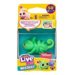 کرلی آفتاب پرست کوچولوی Needees, تنوع: 26653 - Curlee Chameleon, image