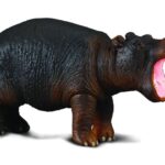 بچه اسب آبی, image