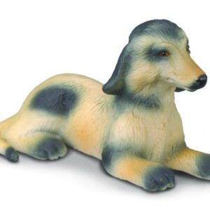 توله سگ تازی افغان