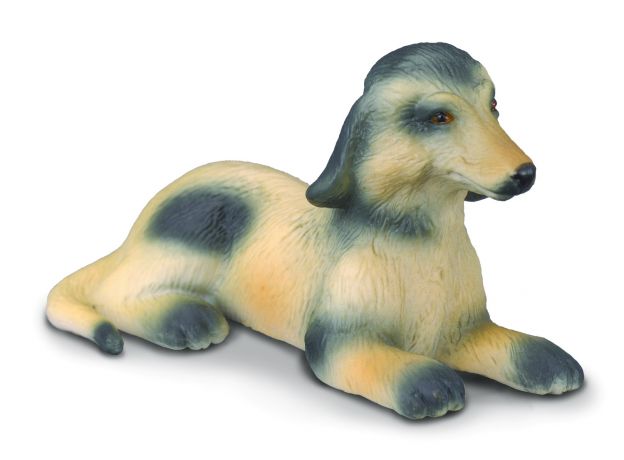 توله سگ تازی افغان, image