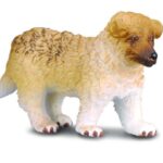 توله سگ راف کولی, image